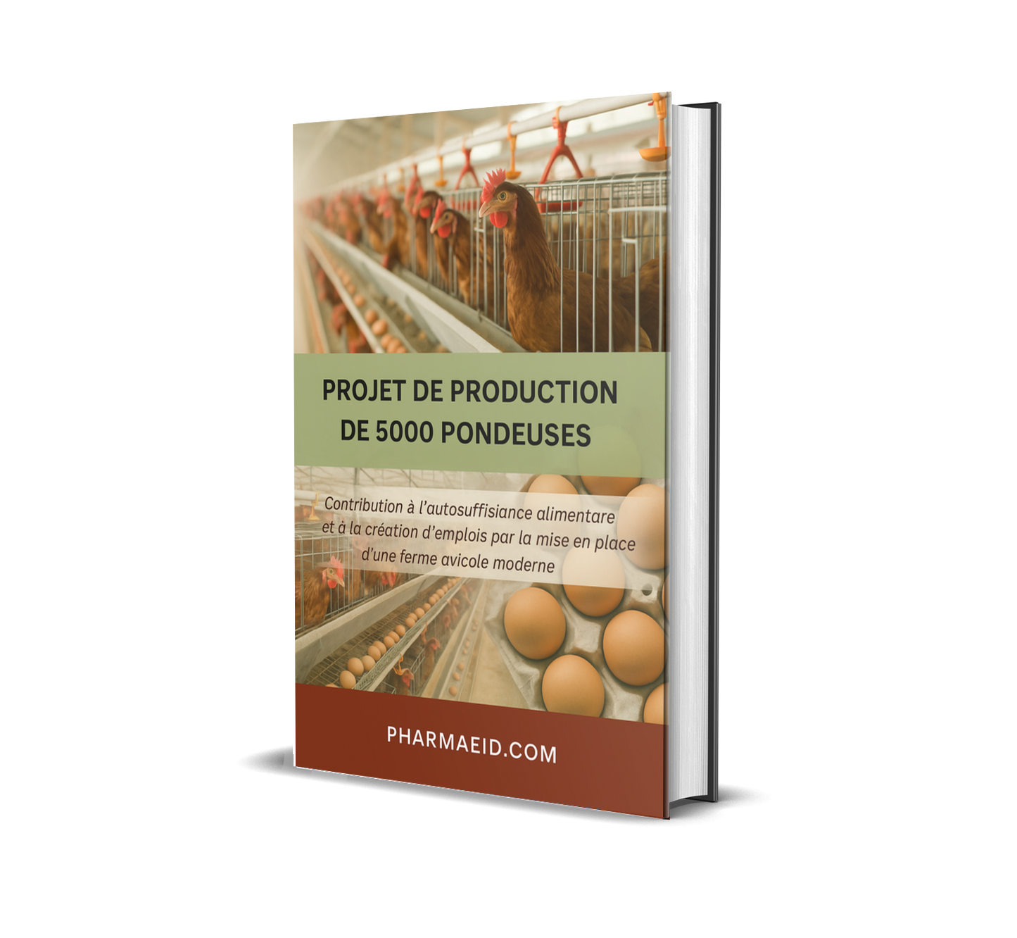 L061-Projet de Production de 5000 Pondeuses – Guide Pratique pour un Élevage Avicole Rentable