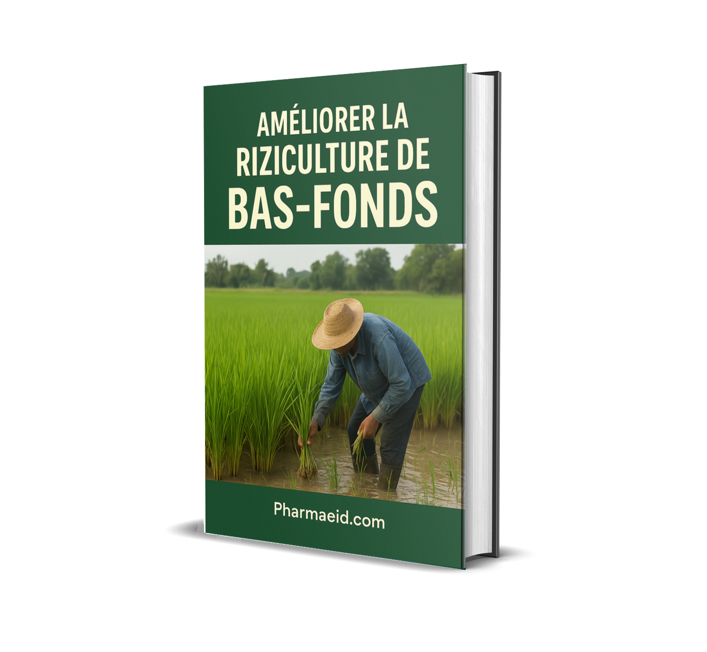 L020-Améliorer la Riziculture de Bas-Fonds – Guide Pratique pour une Production Rizicole Moderne, Efficace et Durable