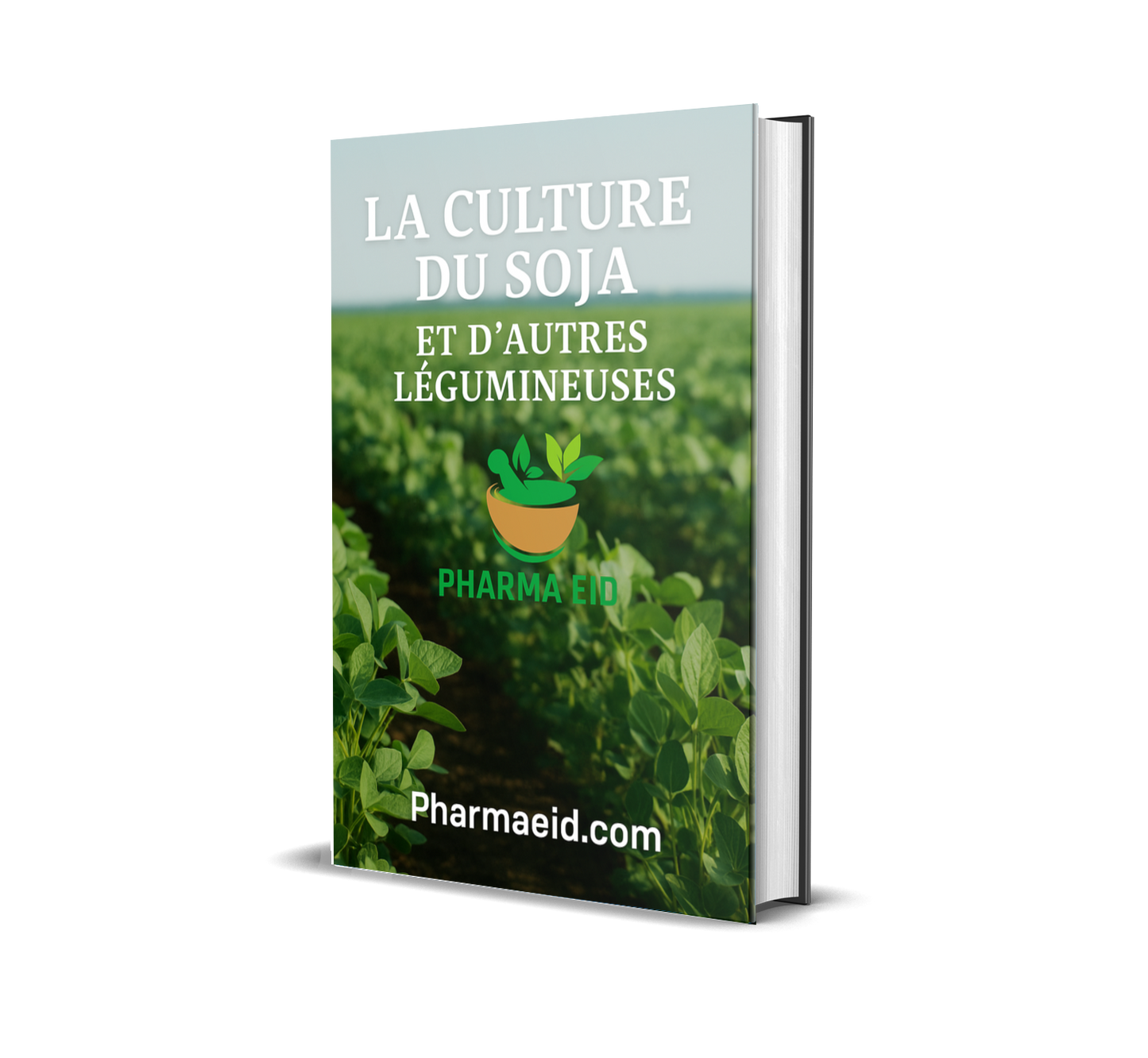 L008-La Culture du Soja et d’Autres Légumineuses – Guide Complet de Plantation, Entretien et Rentabilité Agricole