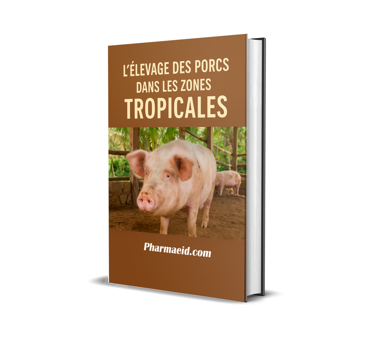 L033-L’Élevage des Porcs dans les Zones Tropicales – Guide Pratique pour une Production Rentable et Adaptée au Climat Chaud
