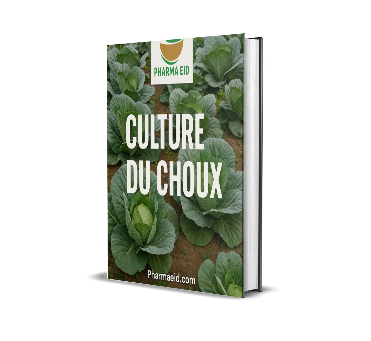 L011-Culture du Choux – Guide Pratique pour Réussir la Production, l’Entretien et la Rentabilité Agricole
