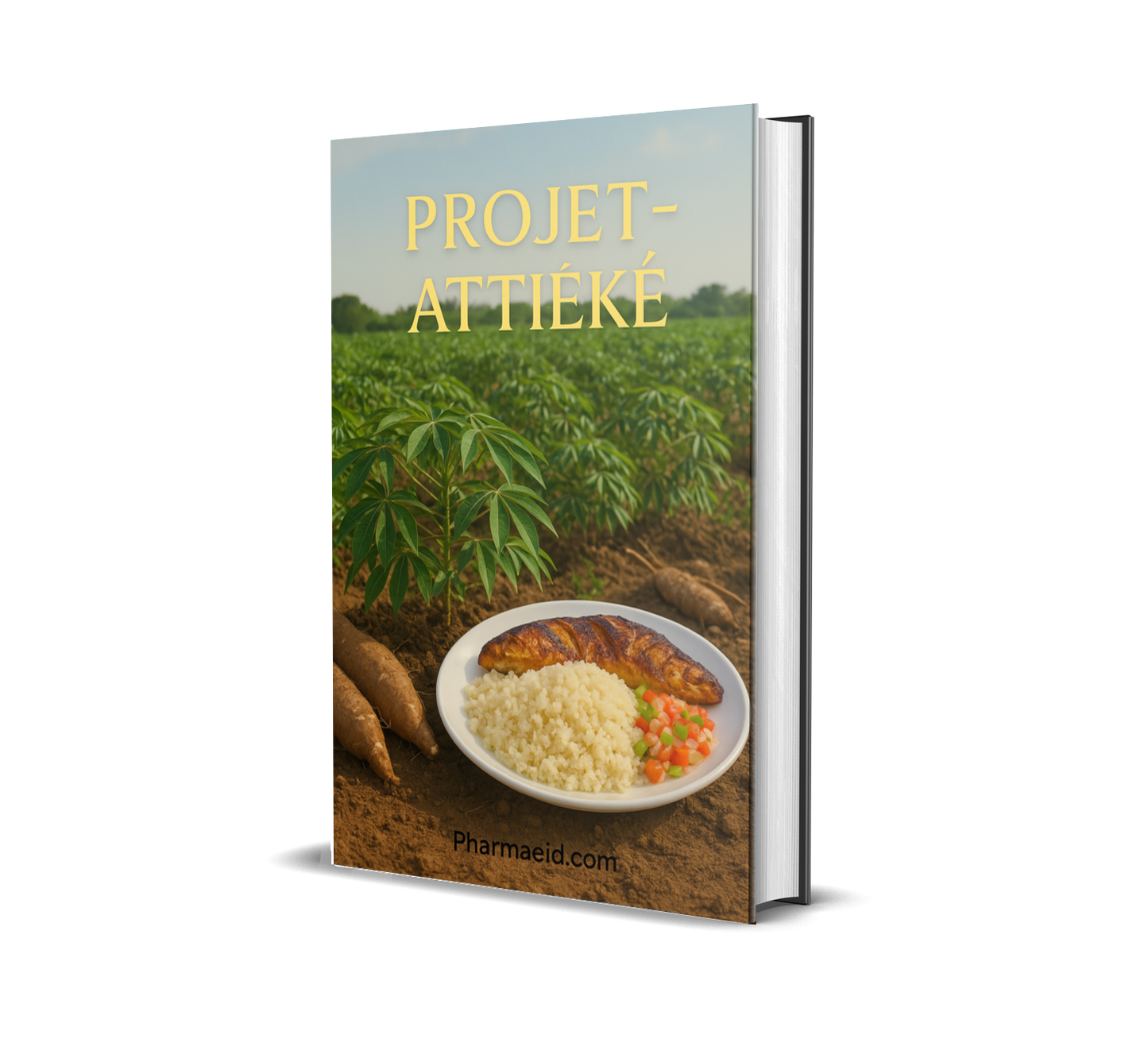 L059-Projet Attiéké – Guide Complet pour la Production et la Commercialisation