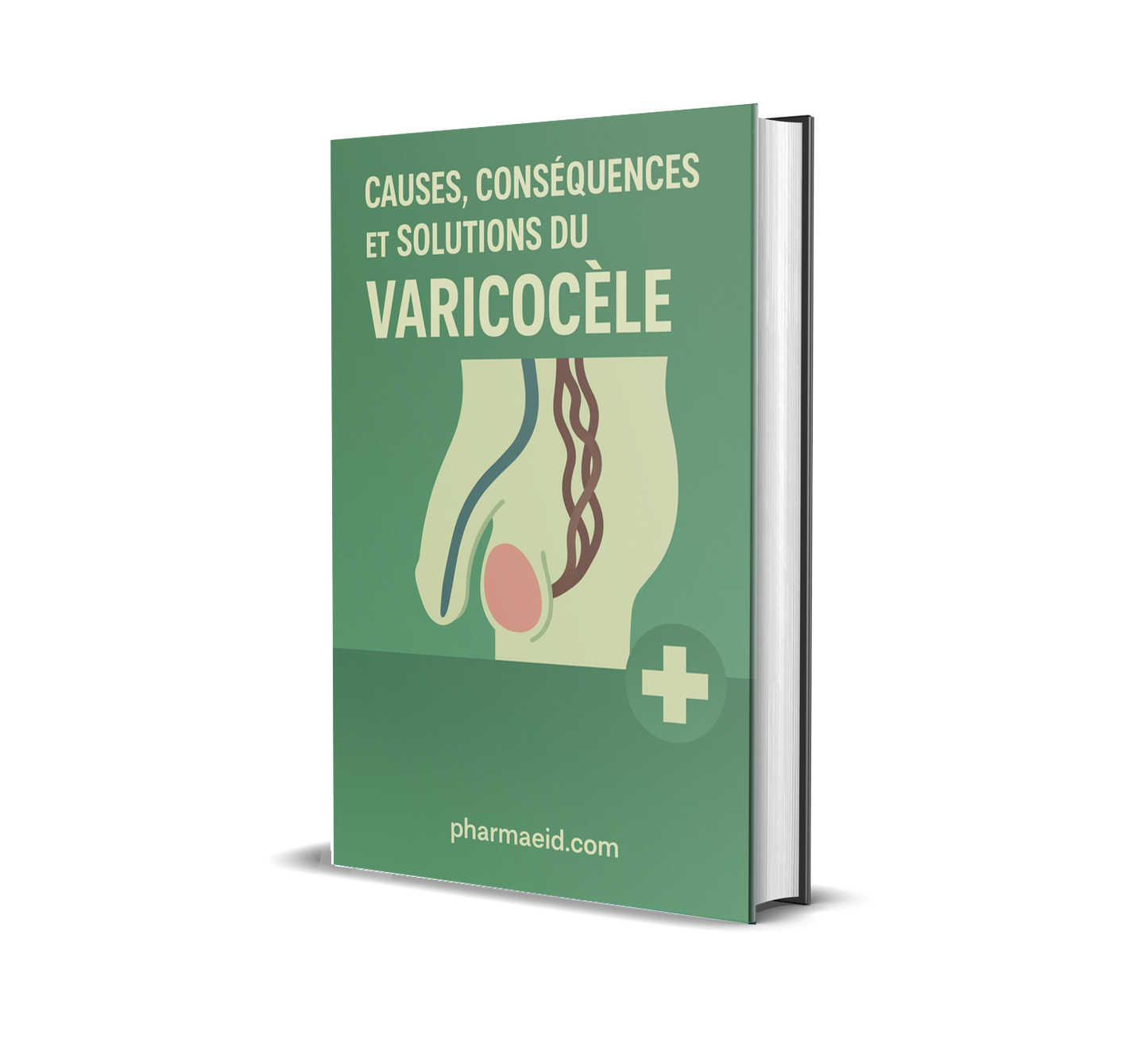 LM08-Varicocèle – Causes, Symptômes et Remèdes Naturels Efficaces pour Retrouver la Santé Masculine