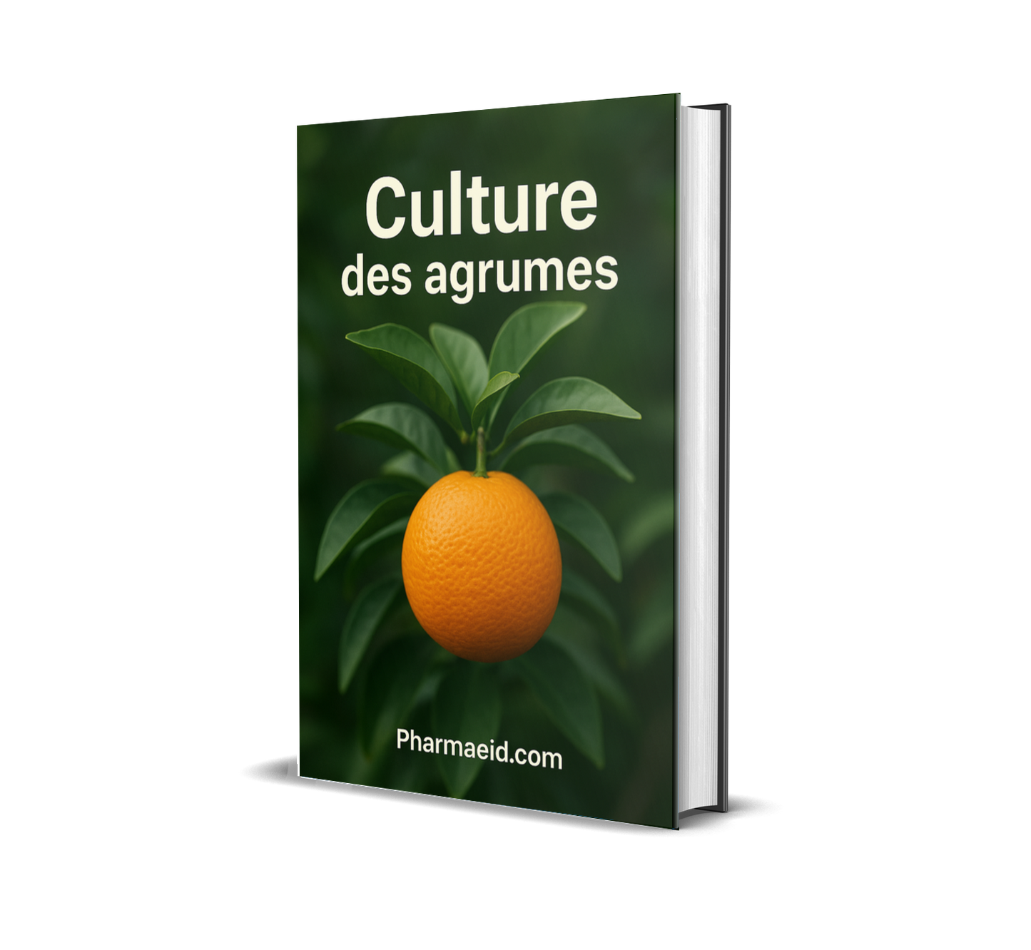 L014-Culture des Agrumes – Guide Complet pour une Production Rentable et Durable en Milieu Tropical
