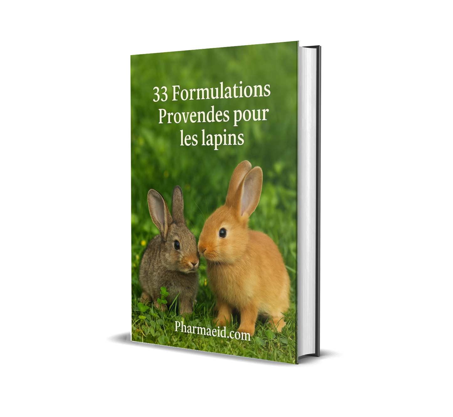 L069-33 Formulations de Provendes pour Lapins – Guide Pratique d’Alimentation Équilibrée