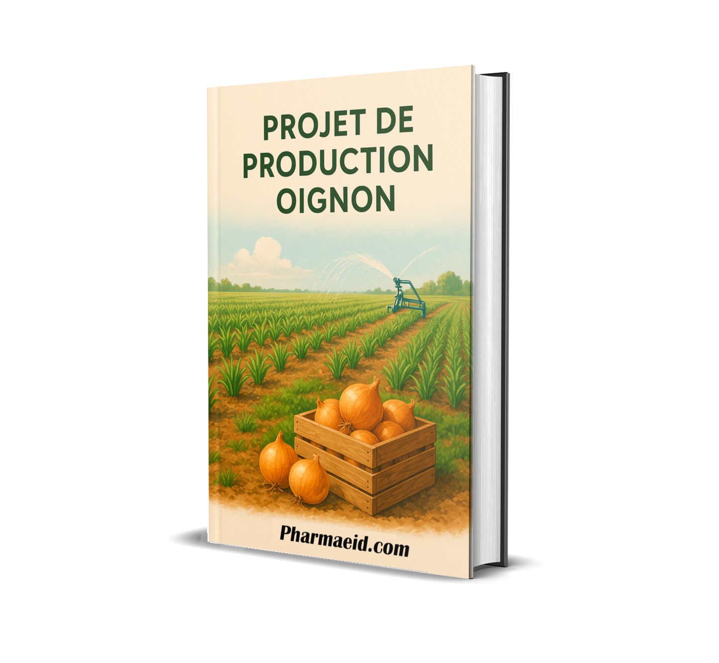 L056-Projet de Production d’Oignon – Guide Pratique pour une Culture Rentable