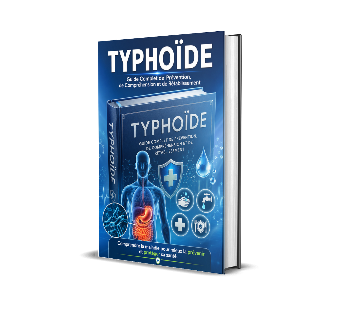 TYPHOÏDE – Guide Complet de Prévention, de Compréhension et de Rétablissement | Santé Digestive & Prévention des Maladies Infectieuses