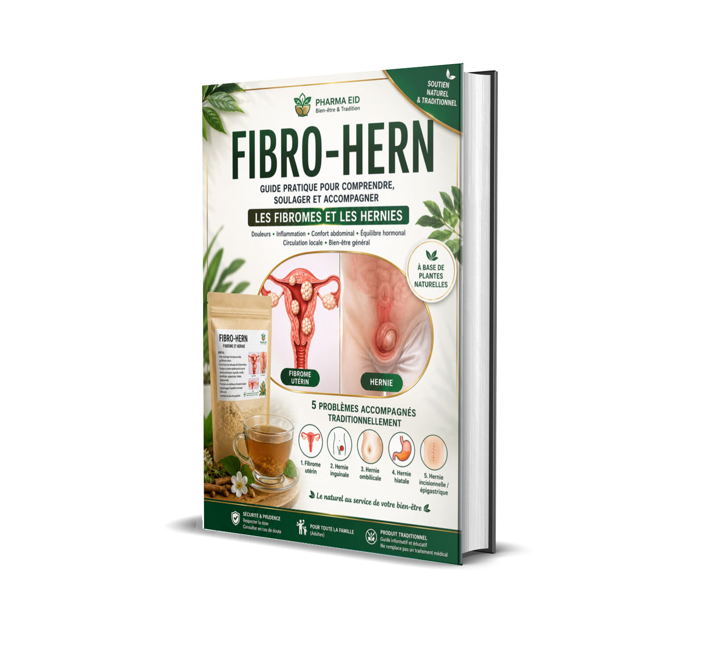 FIBRO-HERN — Guide traditionnel pour accompagner les fibromes, les hernies et le confort abdominal