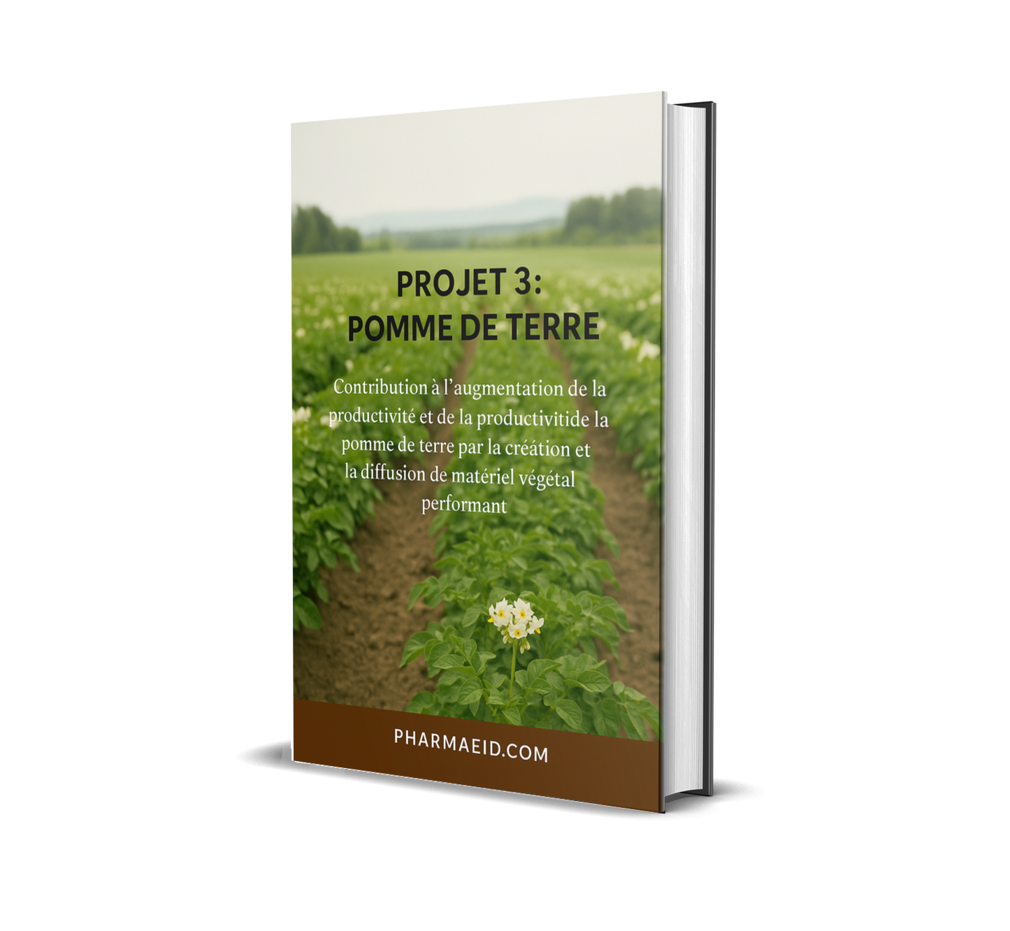 L062-Projet Pomme de Terre – Guide Complet pour la Culture et la Rentabilité Agricole