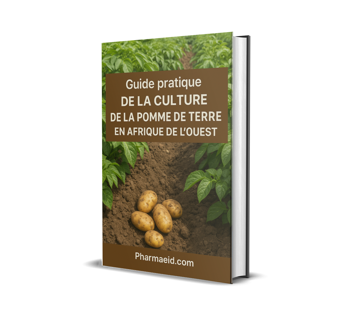 L017-Guide Pratique de la Culture de la Pomme de Terre en Afrique de l’Ouest – Techniques Modernes pour une Production Rentable et Durable