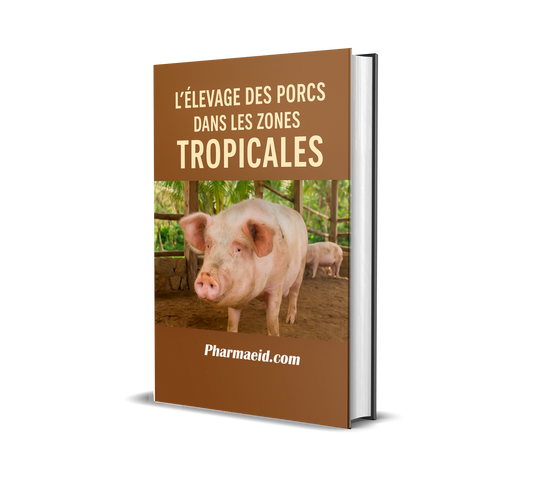 L033-L’Élevage des Porcs dans les Zones Tropicales – Guide Pratique pour une Production Rentable et Adaptée au Climat Chaud