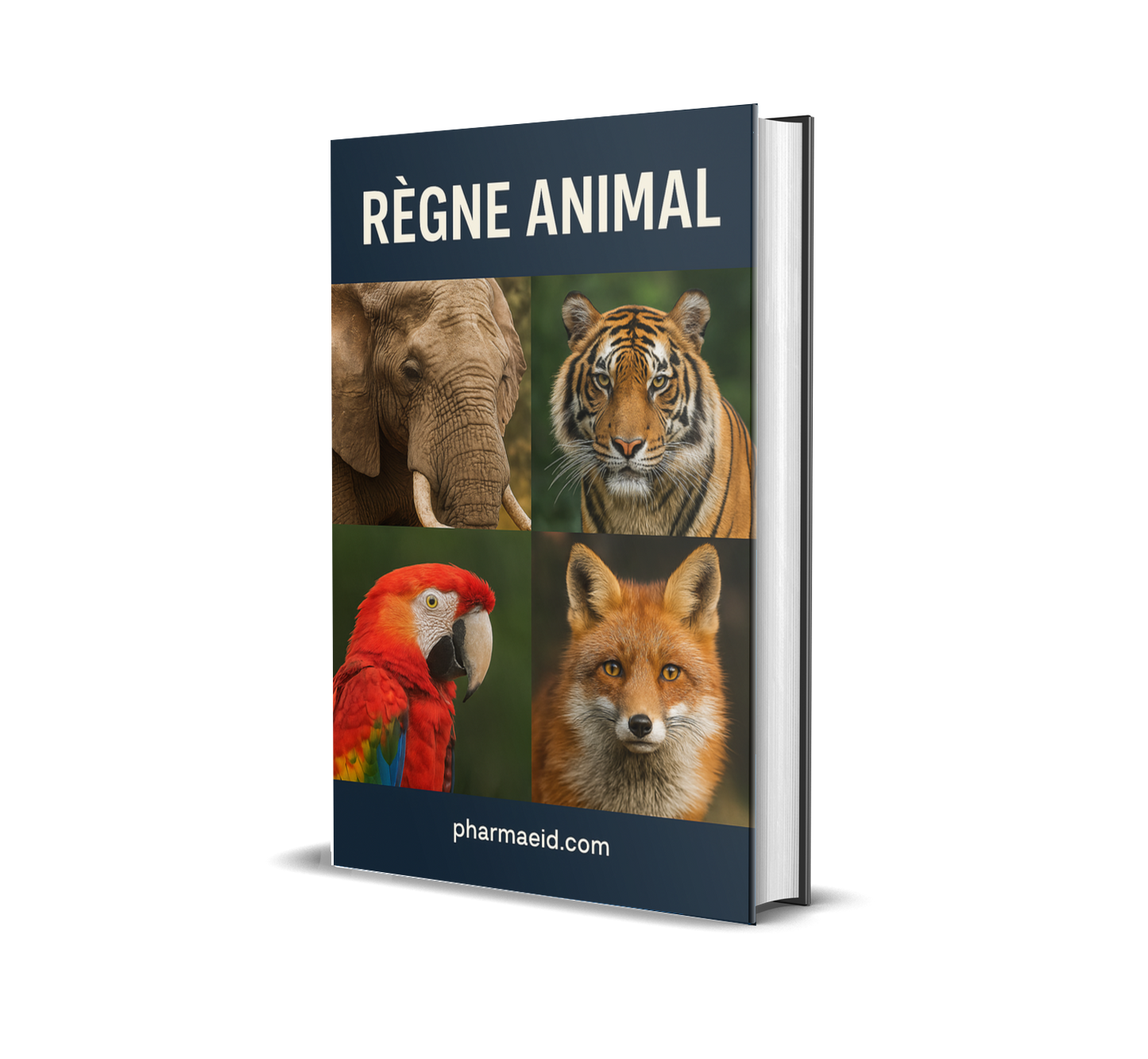 L022-Règne Animal – Guide Illustré sur la Diversité, la Classification et le Comportement des Espèces du Monde