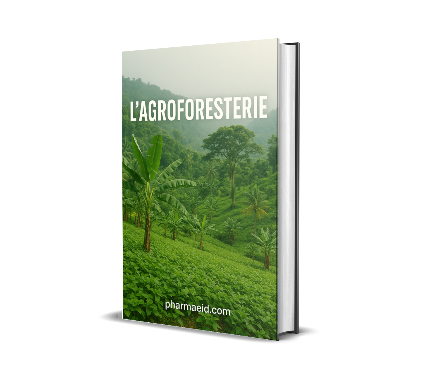 L021-Agrodok-16 – L’Agroforesterie : Guide Pratique pour Associer Arbres, Cultures et Élevage de Manière Durable