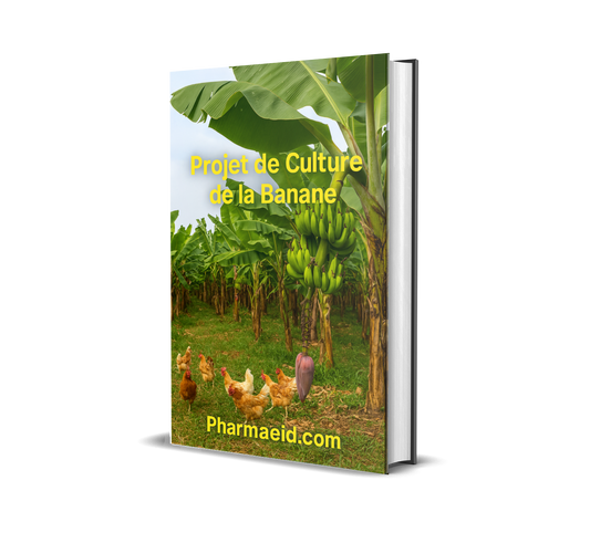 L064-Fiche Projet – Culture et Commercialisation de la Banane Plantain