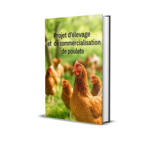 L065-Business Plan – Élevage et Commercialisation des Poulets de Chair