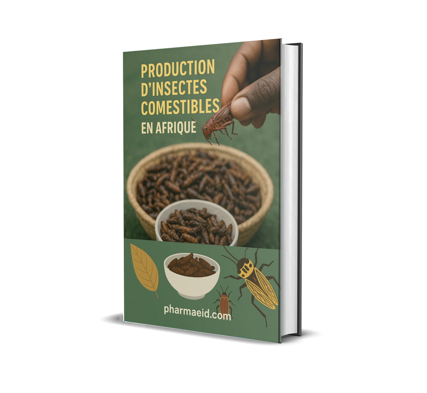 L023-Production d'Insectes Comestibles en Afrique – Guide Pratique pour un Élevage Rentable, Écologique