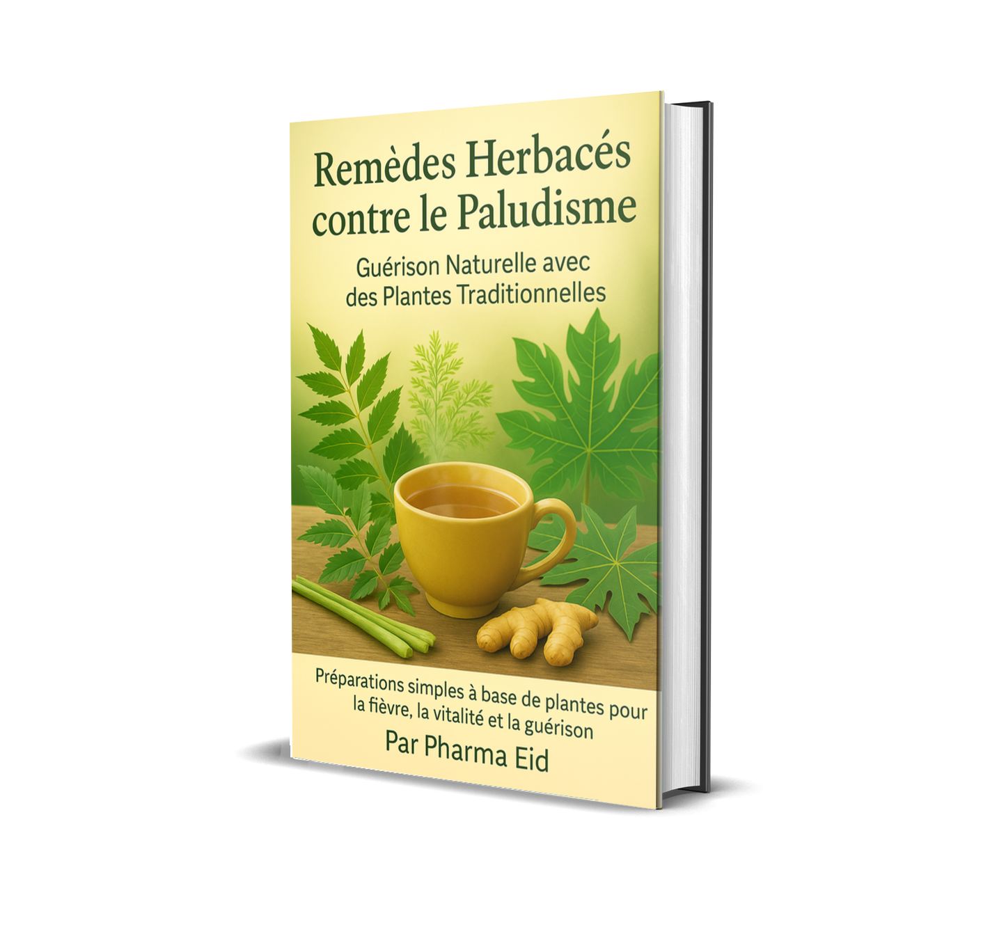 LM12-Remèdes Herbacés contre le Paludisme – Le Guide Complet de Guérison Naturelle (Version française)