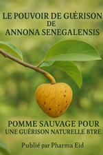 LM28-MAN POWER – Guérison Naturelle & Spirituelle pour la Santé, l’Énergie et la Fertilité Masculines