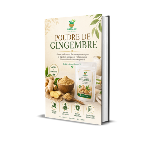 POUDRE DE GINGEMBRE — Guide traditionnel pour la digestion, les nausées, l’immunité et le bien-être général