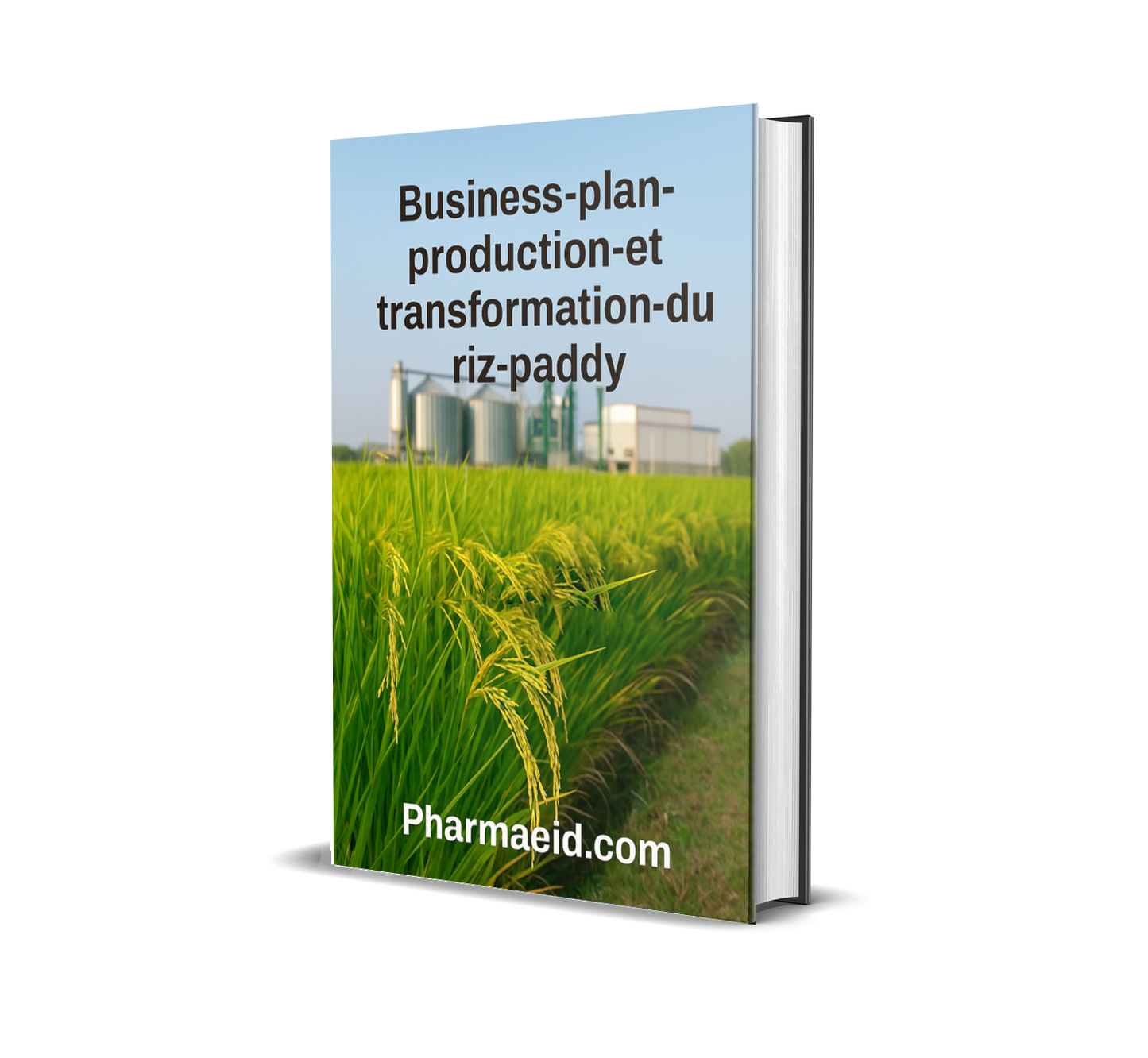 L066-Business Plan – Production et Transformation du Riz Paddy en Riz de Consommation (Guide complet du montage du projet de riz)